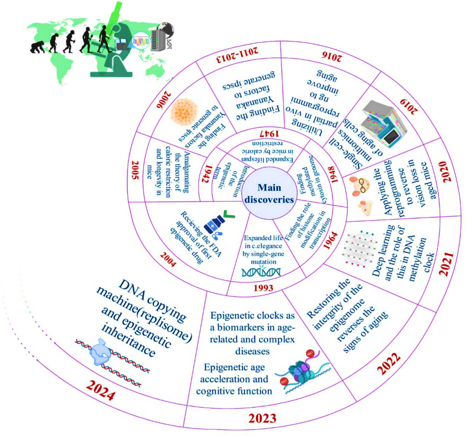 Applications of CRISPR-Cas9 in mitigating cellular senescence and age-related disease progression