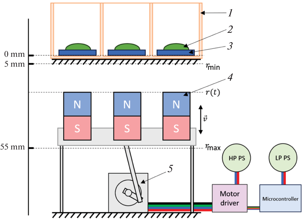 Tuning the Magnetoelectric Stimulation Method to Enhance Cell Proliferation in PVDF-based Nanocomposites