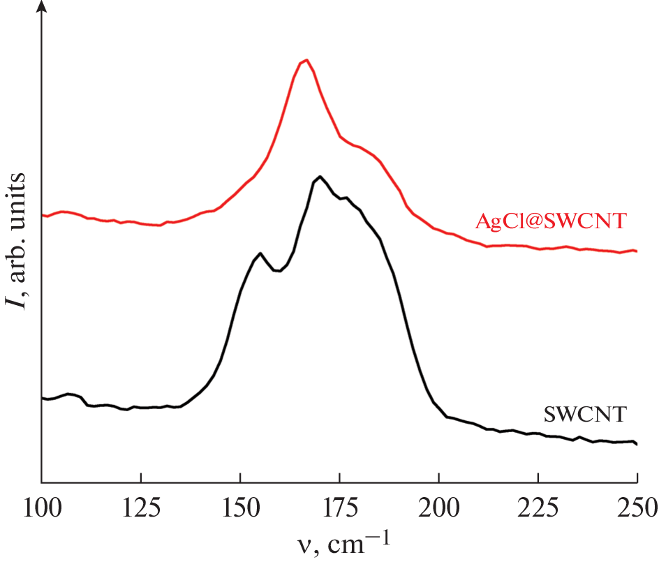 Structure of Silver Chloride in the Channels of Single-Wall Carbon Nanotubes