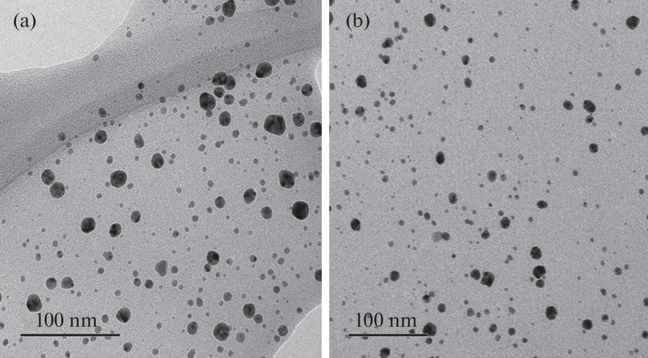 Obtaining Silver Nanoparticles Stabilized by Sodium Alginate and Their Application for Inhibiting Apple Rot