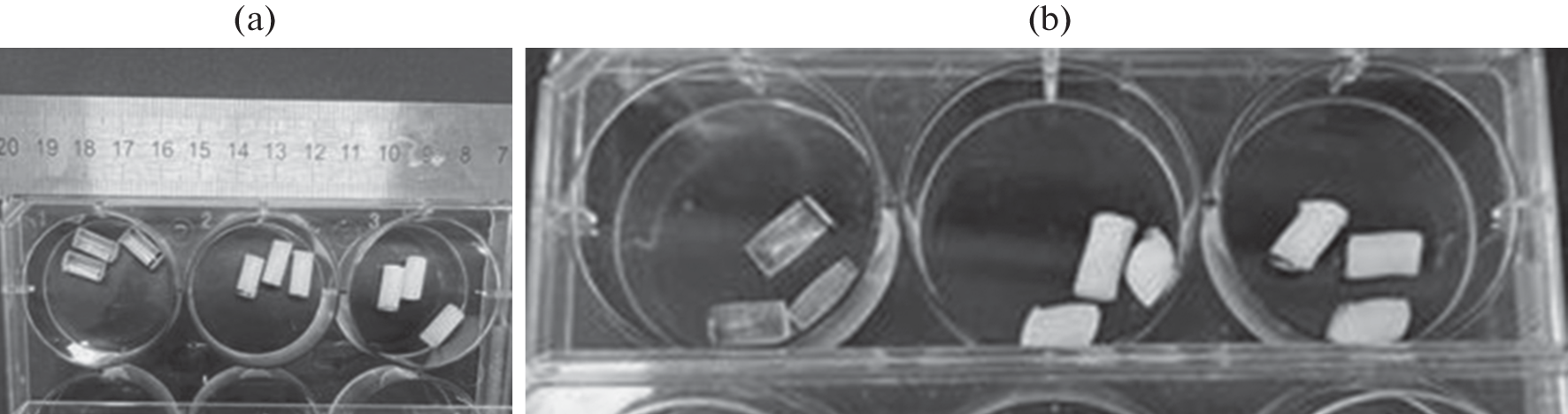 Biodegradable Devices Based on Blends of Polylactide and Polycaprolactone and Their Copolymers for the Closure of Fibrosis Annulus Defects after Sequestrectomy of the Intervertebral Disc