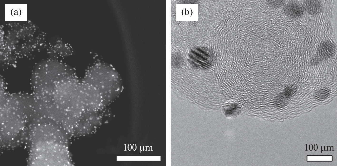 Electrochemical Evaluation of Degradation Stability in Nanostructured Electrocatalysts Based on SiO-modified Carbon Supports for PEM Fuel Cell Cathodes
