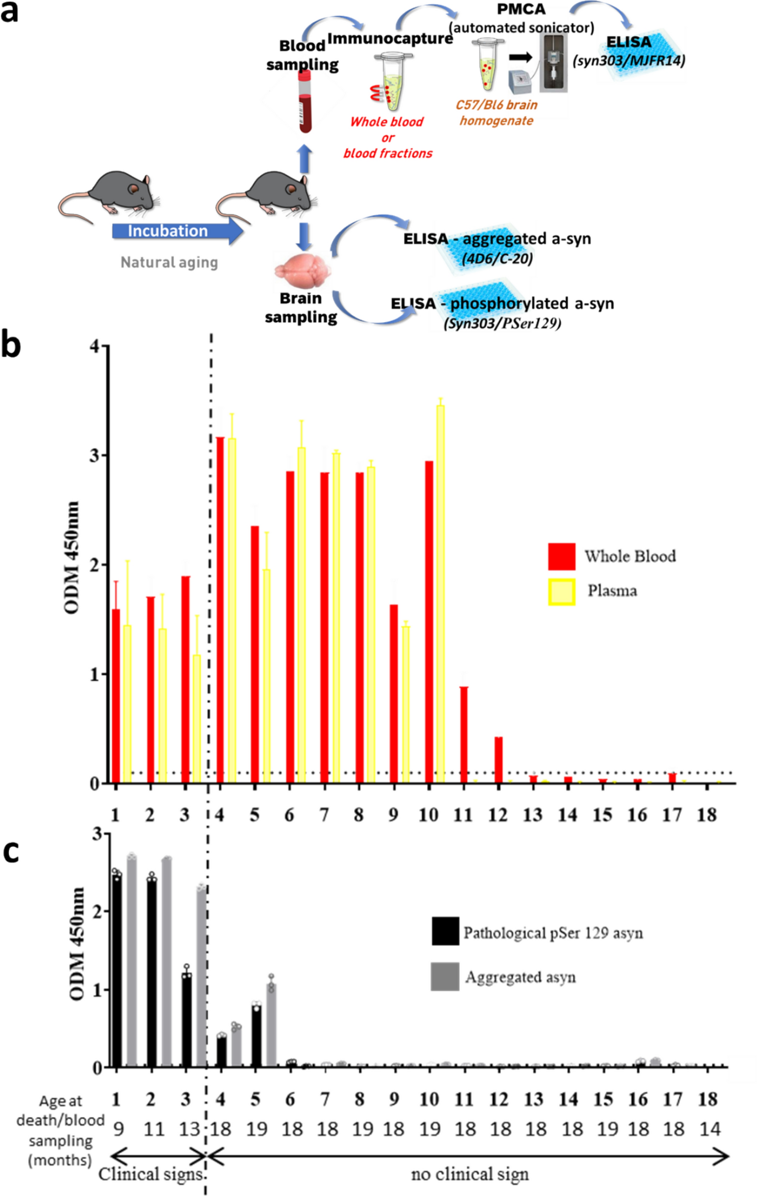 Subclinical detection of misfolded alpha-synuclein in the blood of M83 mice