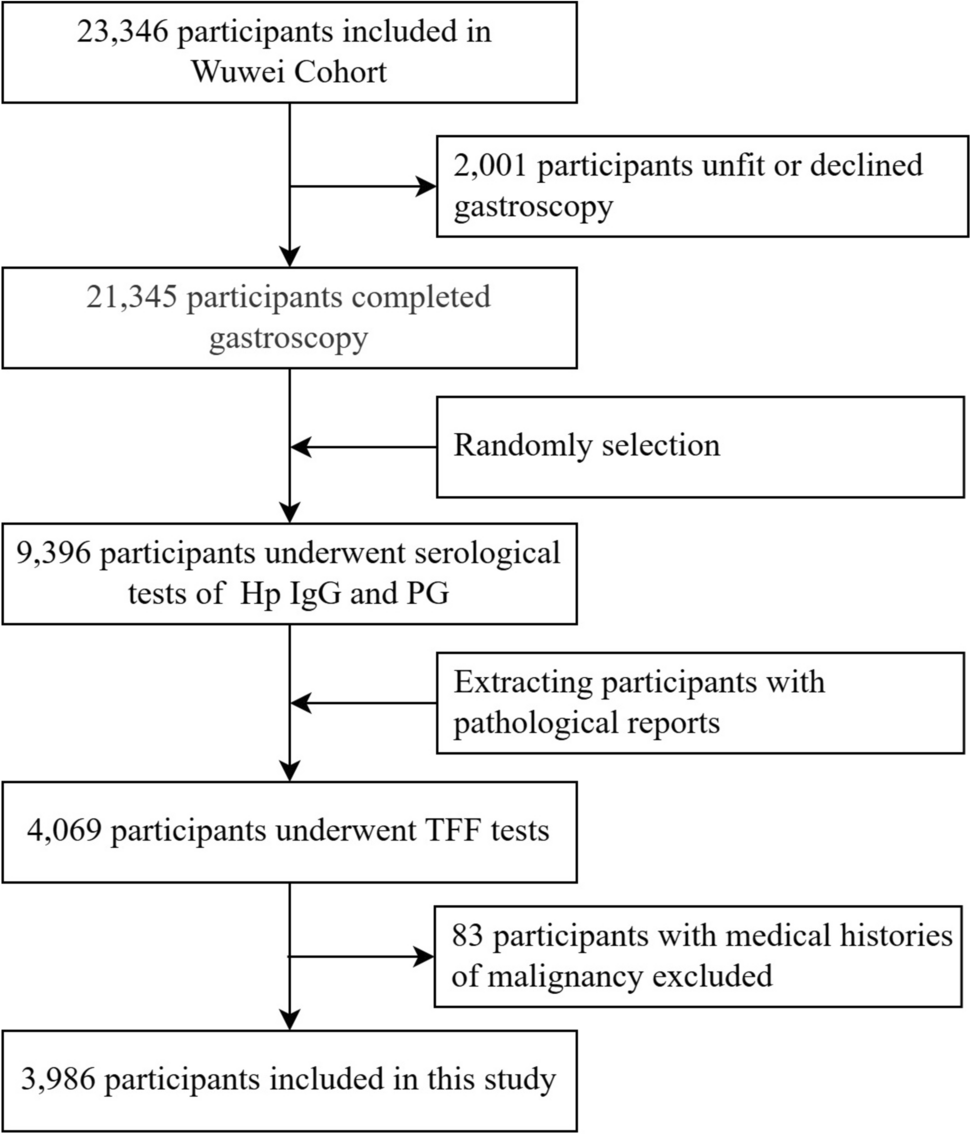 Serum TFF2 as a more reliable biomarker for gastric cancer and early gastric cancer: a cross-sectional population-based study