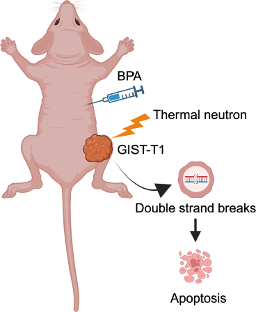 Evaluating boron neutron capture therapy as a potential treatment for unresectable gastrointestinal stromal tumors