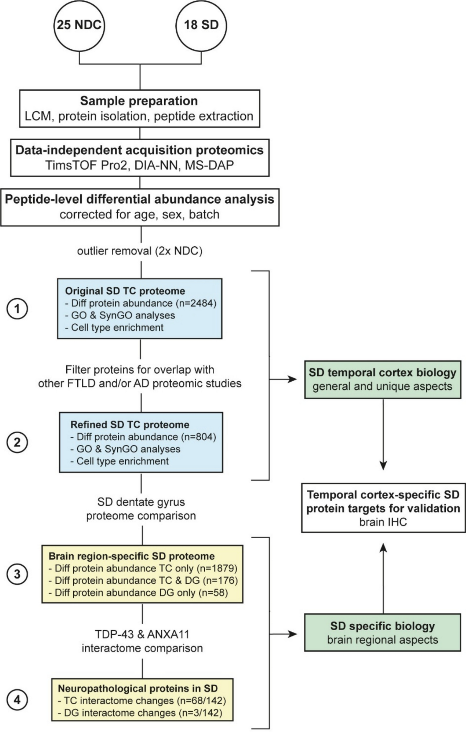 Proteomics of the temporal cortex in semantic dementia reveals brain-region specific molecular pathology and regulation of the TDP-43-ANXA11 interactome