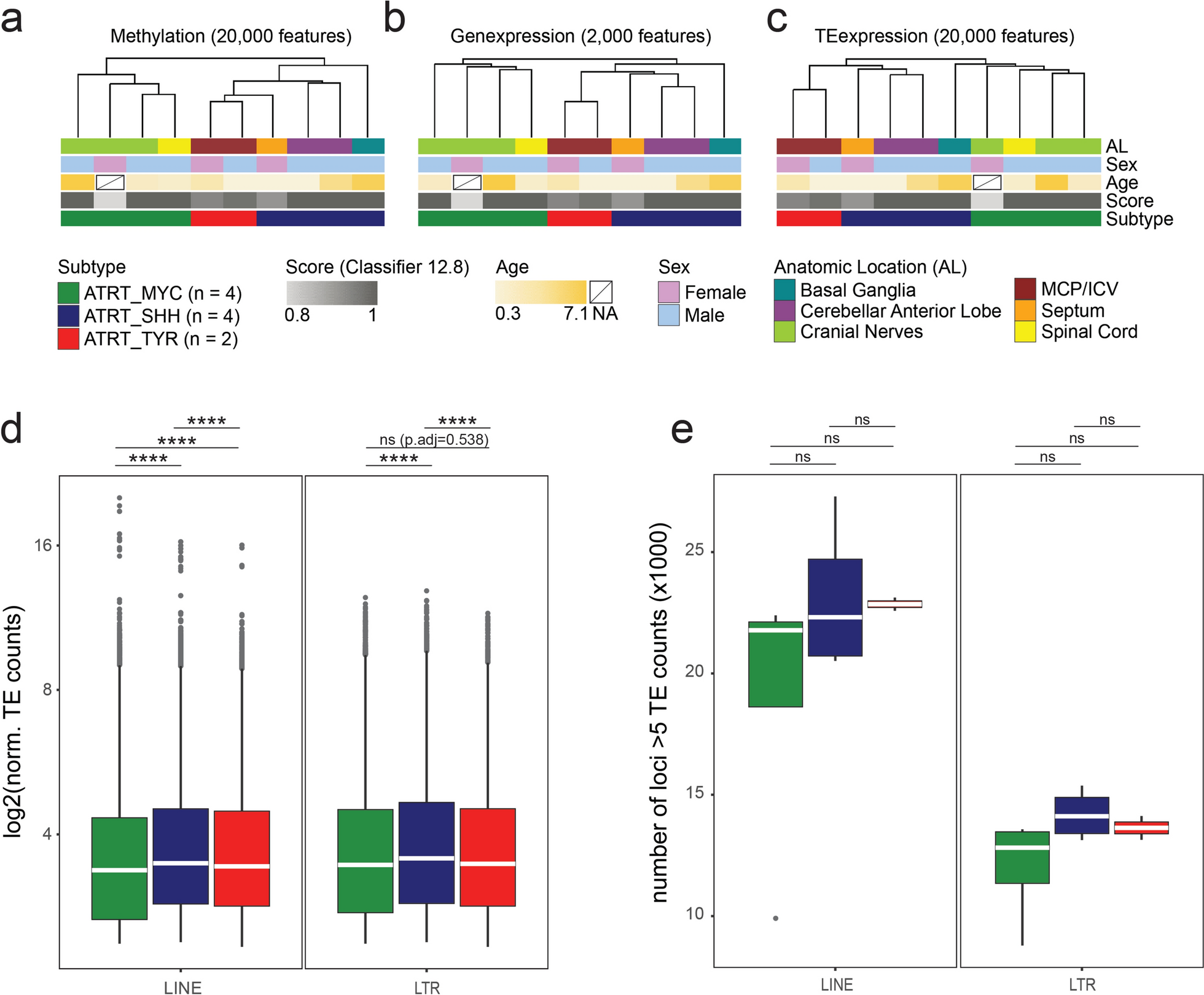 Expression of LTR and LINE1 transposable elements defines atypical teratoid/rhabdoid tumor subtypes