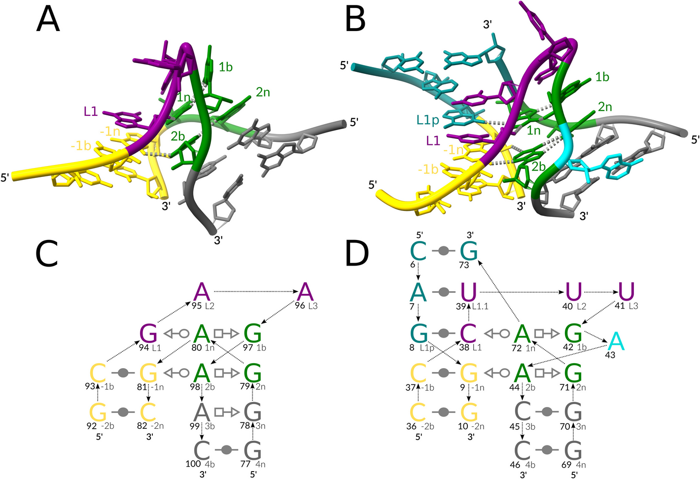 ARTEM: a method for RNA and DNA tertiary motif identification with backbone permutations