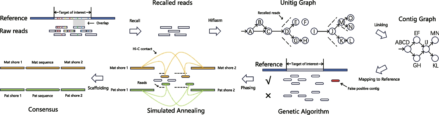 TRFill: synergistic use of HiFi and Hi-C sequencing enables accurate assembly of tandem repeats for population-level analysis