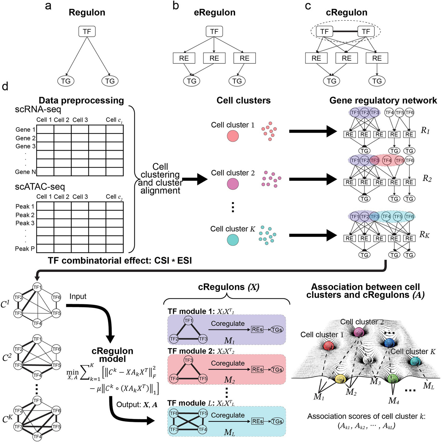 Modeling combinatorial regulation from single-cell multi-omics provides regulatory units underpinning cell type landscape using cRegulon