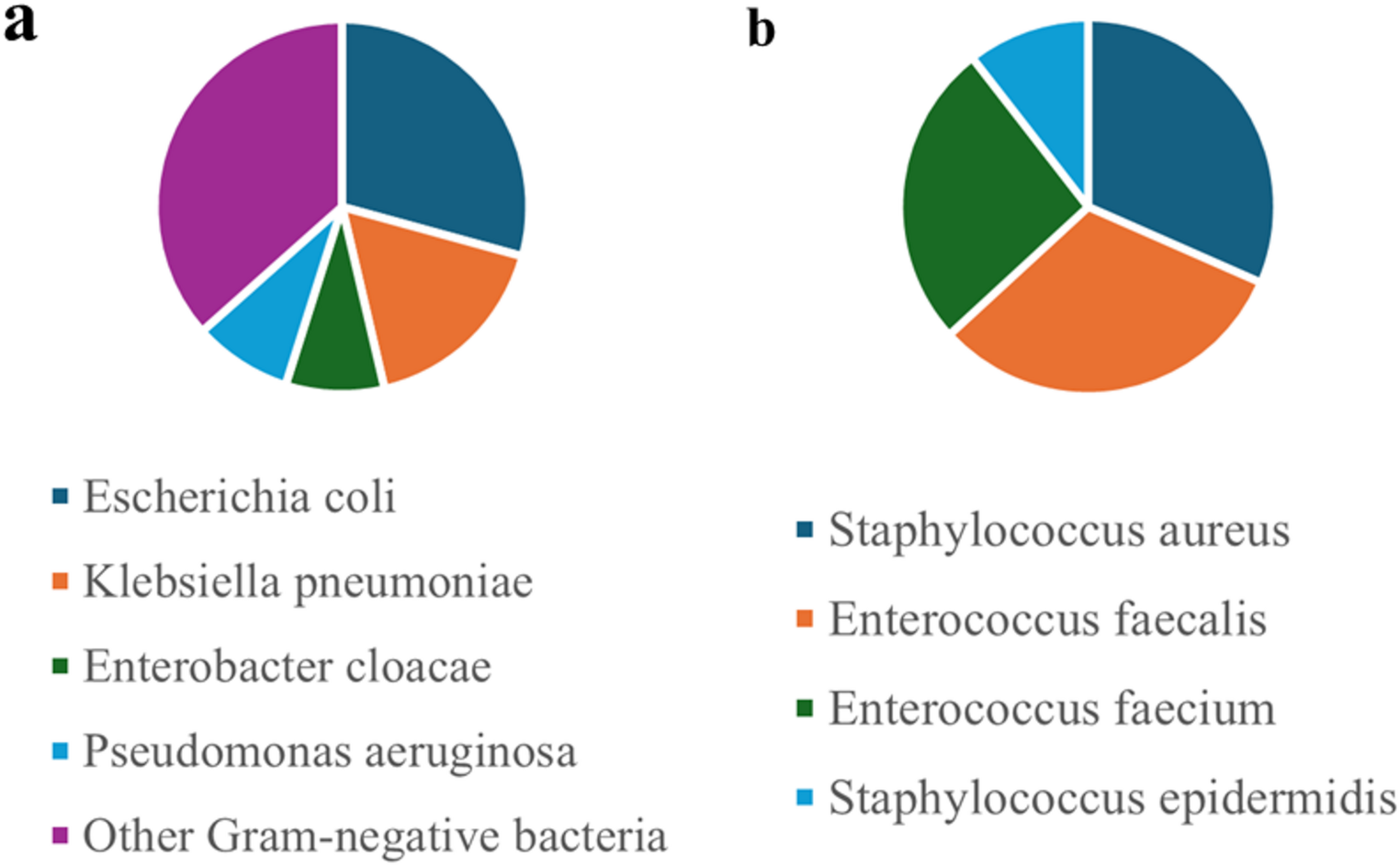 Predictors of mortality and progression from colonization to  bloodstream infection in hematologic disorders: a single-center retrospective study