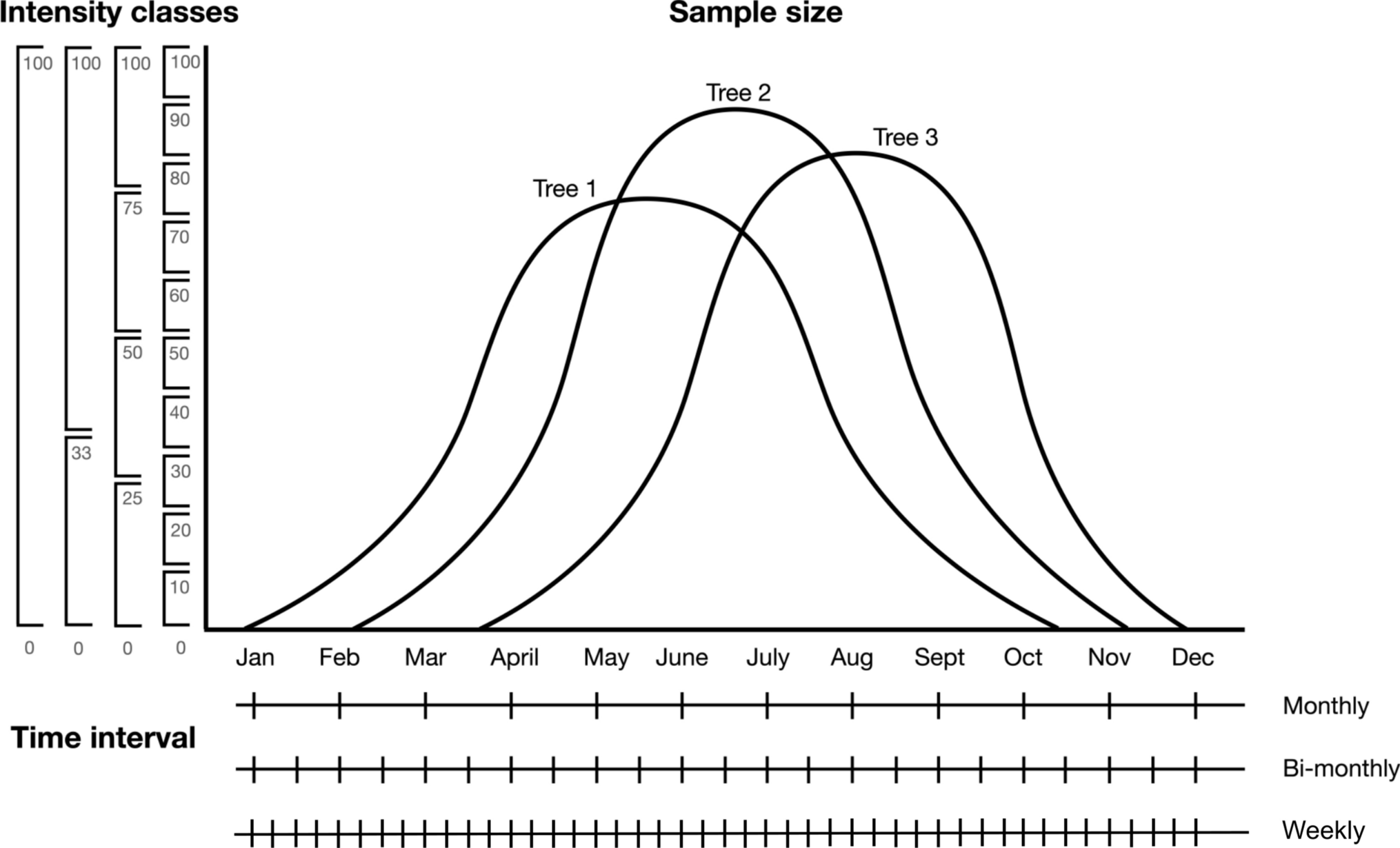 Effects of sampling methodology on phenology indices: Insights from sites across India and modelling
