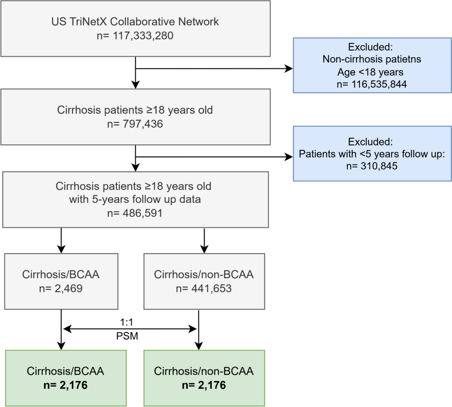 Branched-Chain Amino Acid Supplementation and Clinical Outcomes in Liver Cirrhosis: A Propensity Score-Matched Multicenter Retrospective Cohort Study