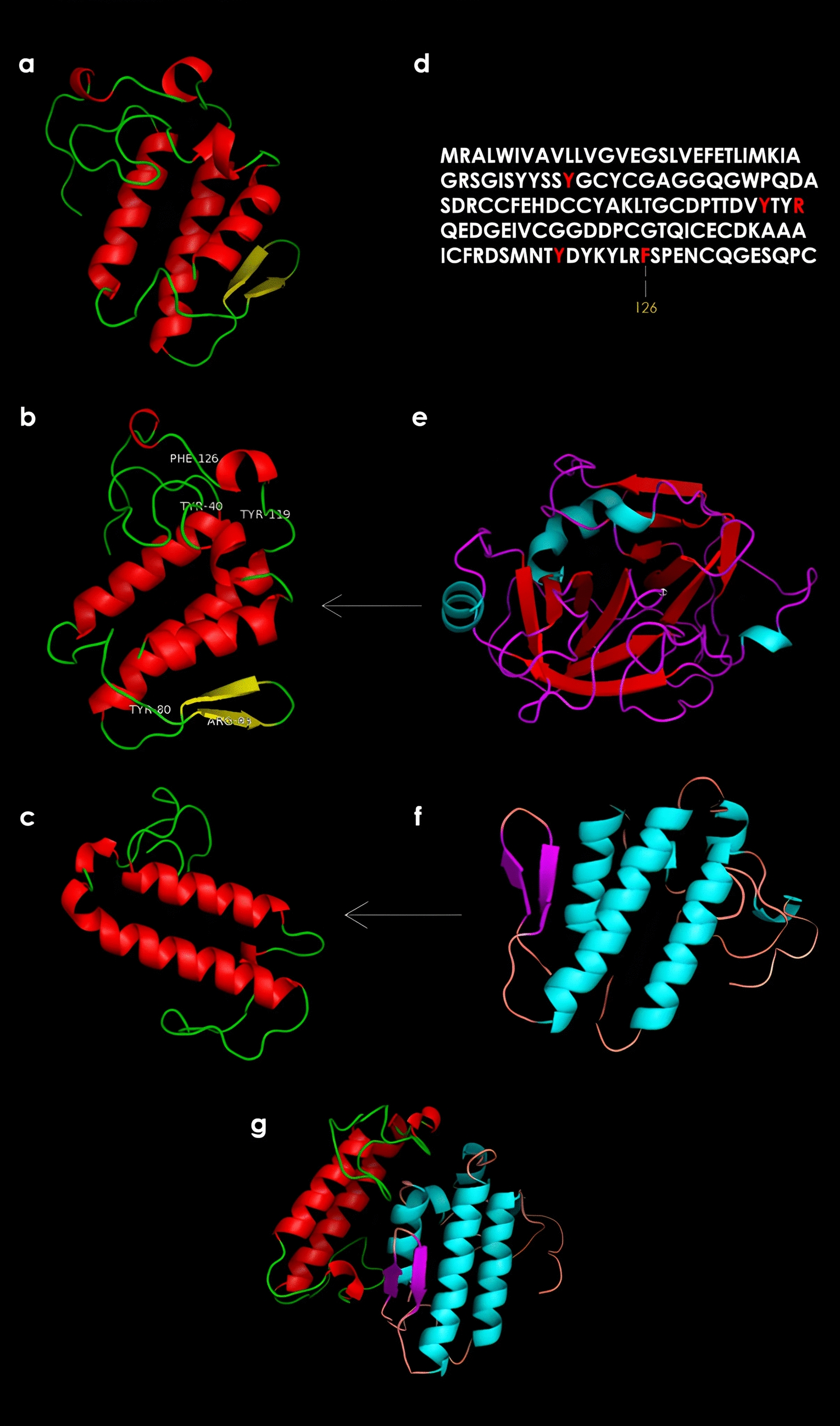 Evolution and plasticity of snake venom: a systematic review