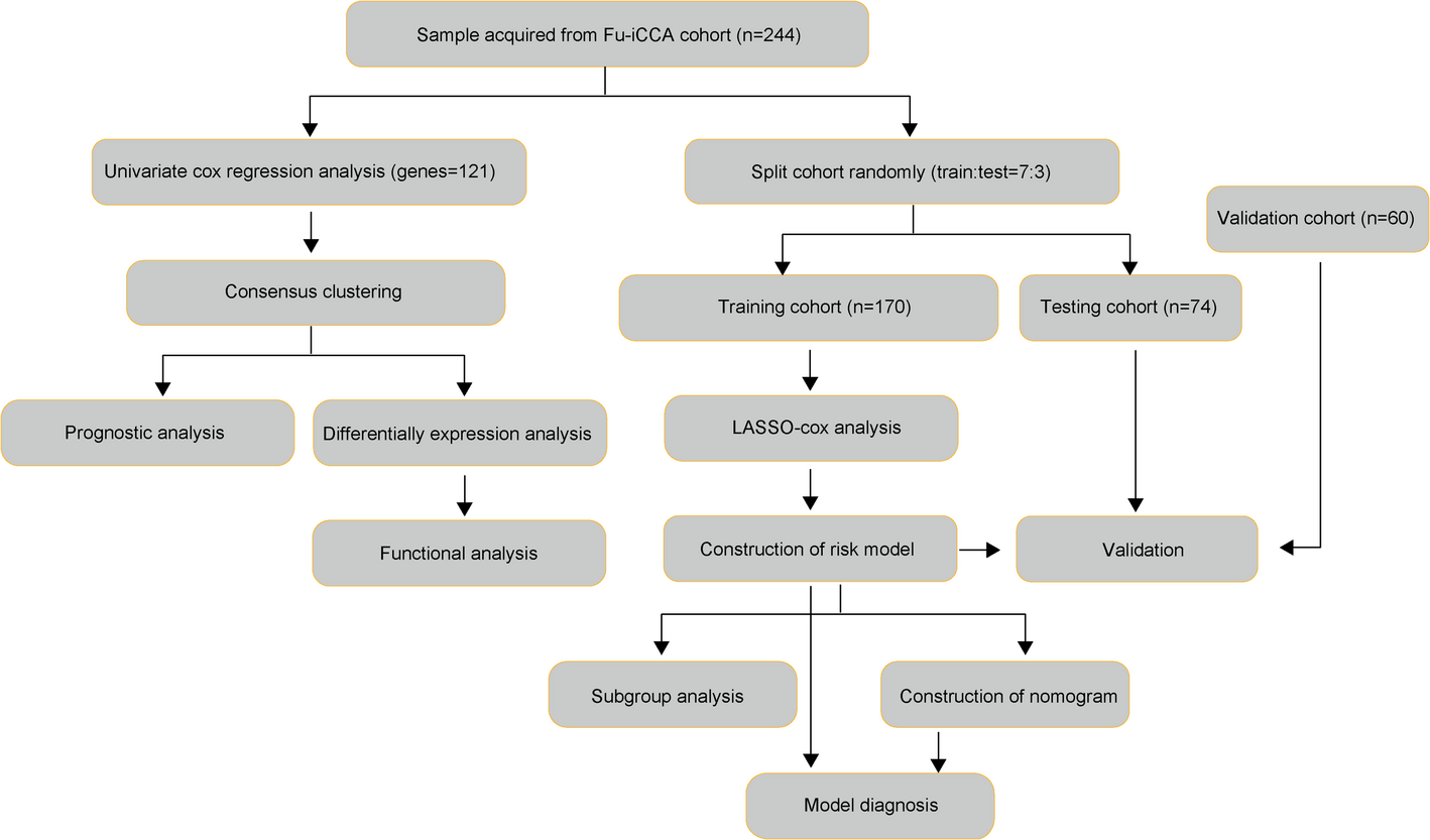 Identification of glycolysis-related molecular subtypes and prognostic model in intrahepatic cholangiocarcinoma