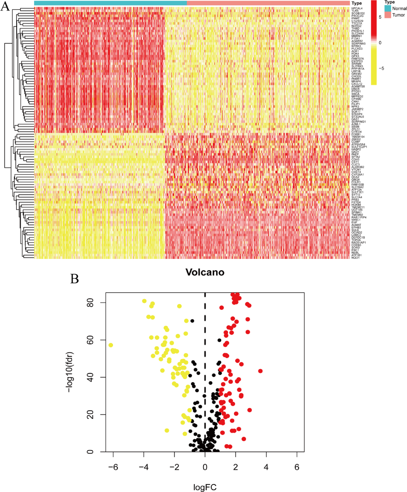 PTK6 mediated immune signatures revealed by single cell transcriptomic and multi omics big data analysis in cervical cancer