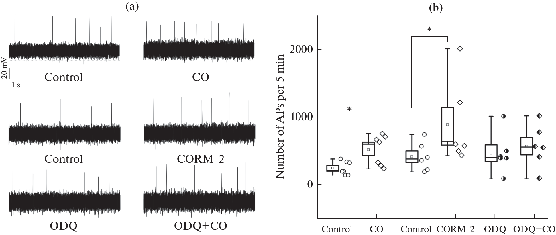 Effect of Carbon Monoxide on ATP-Evoked Activity in Rat Trigeminal Afferents
