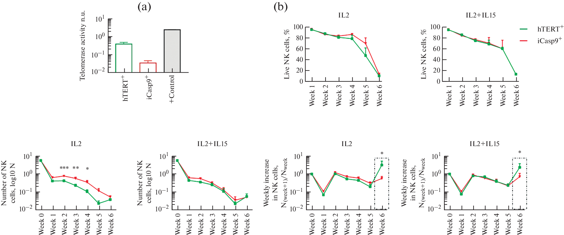 Comparison of Functional and Proliferative Activity of hTERT-NK and iCasp9-NK Cells