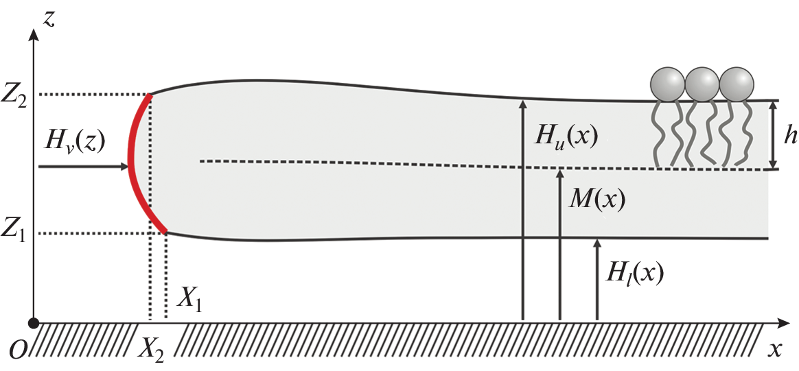 Line Tension of Pore Edge in Membrane on Solid Support