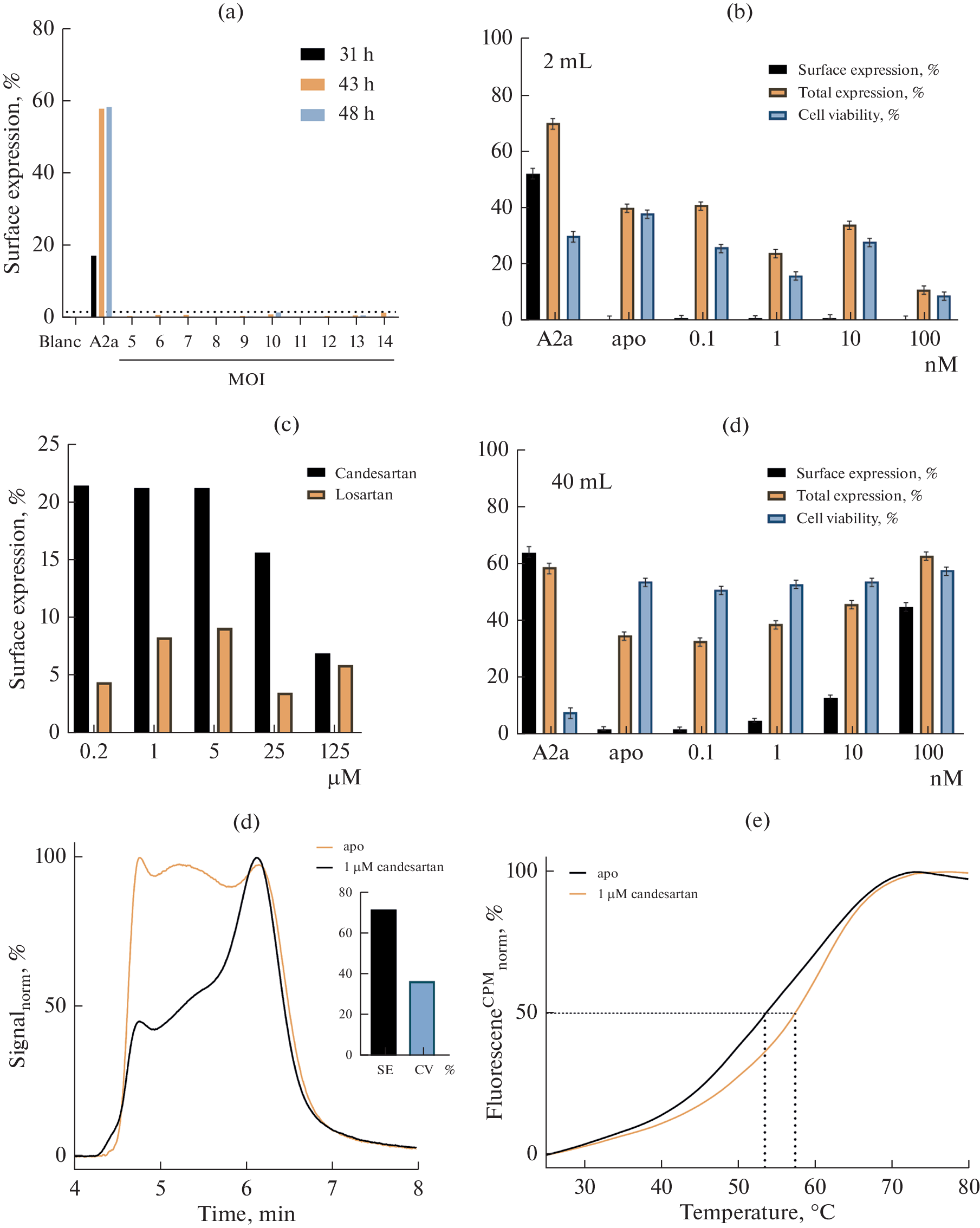 Optimization of Angiotensin II Receptor Type 1 Production for Biophysical Studies