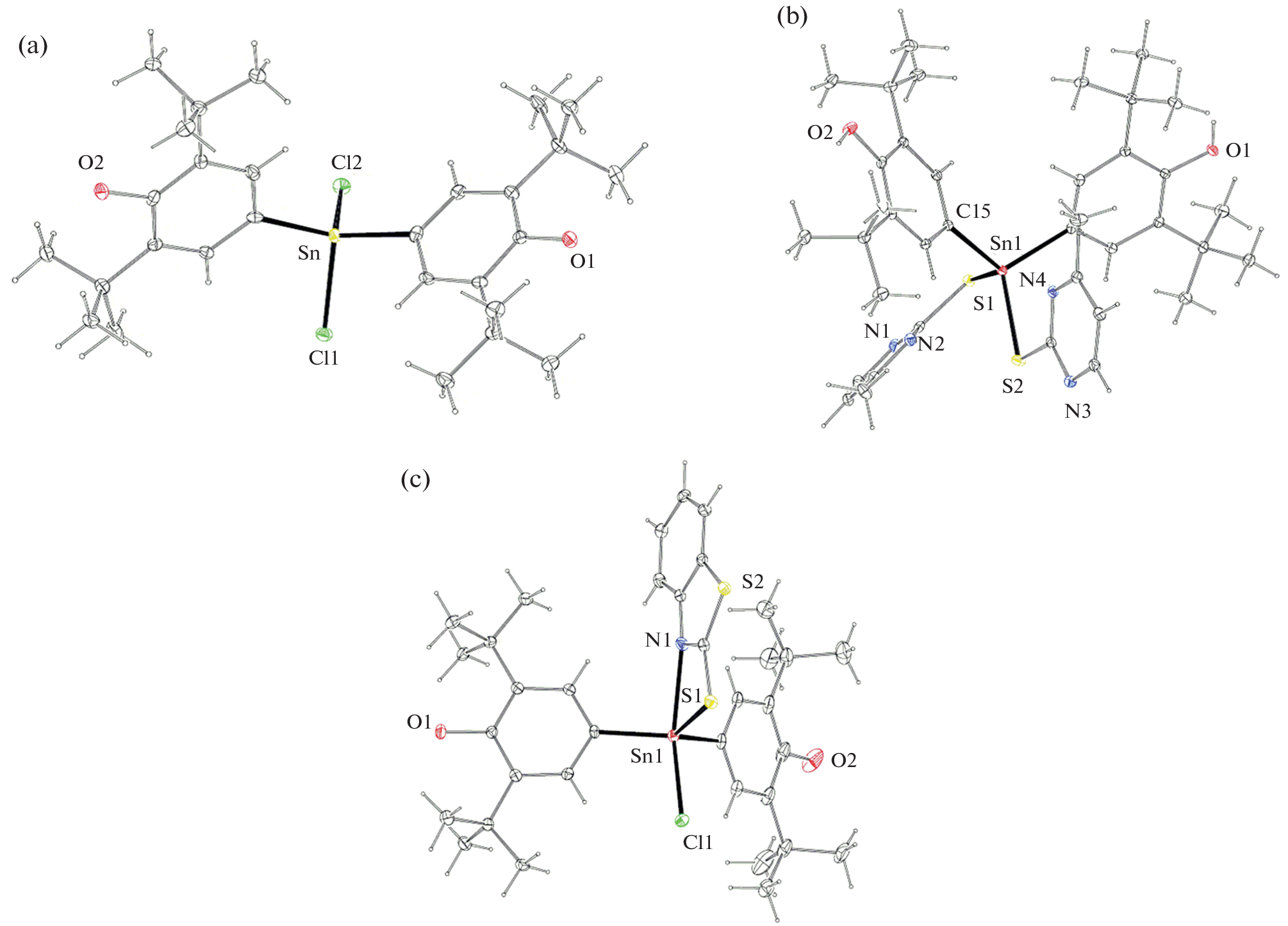Organotin Complexes—Candidates for Antitumor Agents: Toxicity vs. Pharmaceutical Activity