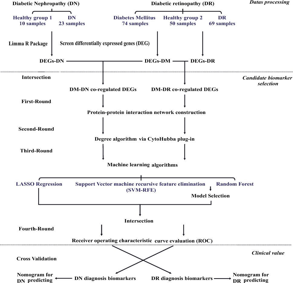 Biomarker signatures distinguish diabetic retinopathy and diabetic nephropathy