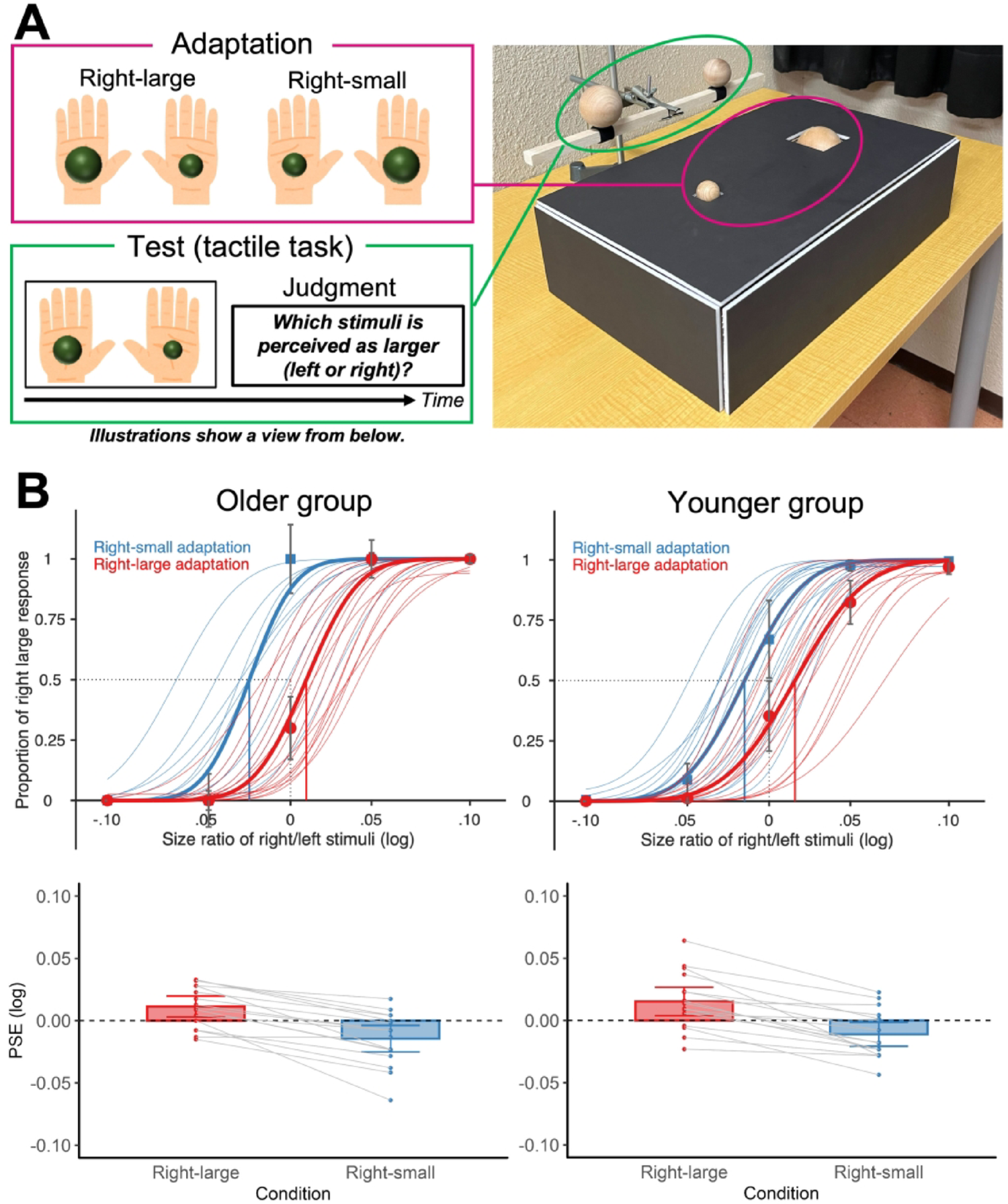 Comparable magnitude of haptic size adaptation aftereffects between younger and older people