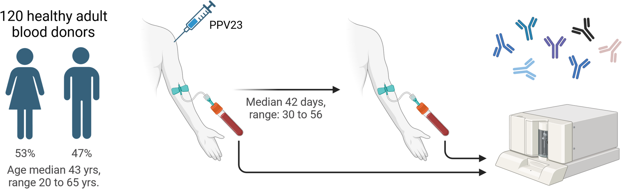 Reassessing Polysaccharide Responsiveness: Unveiling Limitations of Current Guidelines and Introducing the Polysaccharide Responsiveness Percentile Approach