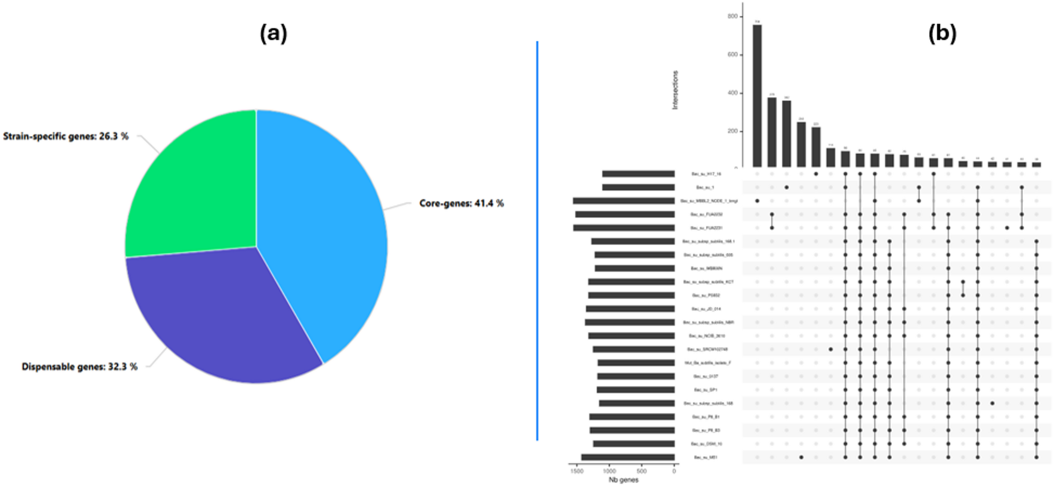 Whole-Genome analysis of  MBBL2 genomic characterization and comparative genomics