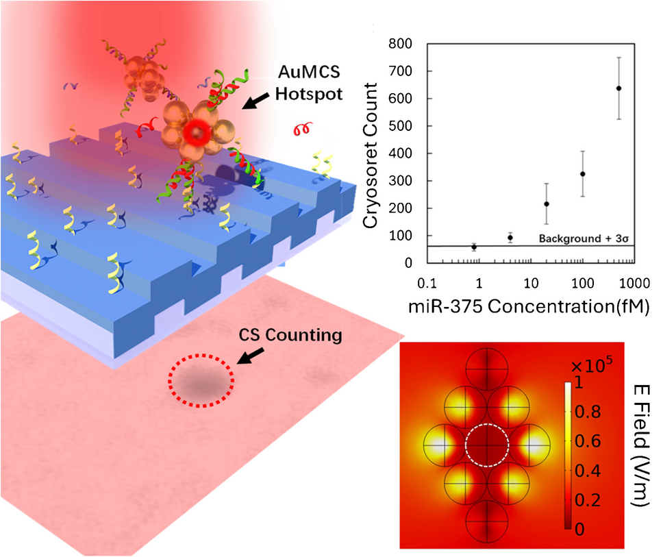 Photonic resonator absorption microscopy: why consider metallic and magneto-plasmonic nano-assemblies over bare nanoparticles for digital biosensing?
