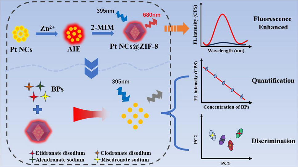 Encapsulating Pt NCs with an AIE effect into a metal–organic framework as a novel fluorescence nanoprobe for discriminatively detecting bisphosphonate drugs
