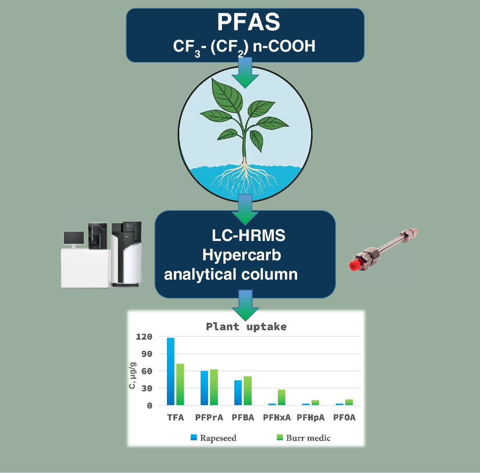 LC-HRMS analysis of ultrashort- and short-chain PFAS on porous graphitic carbon column and study of accumulation in plants