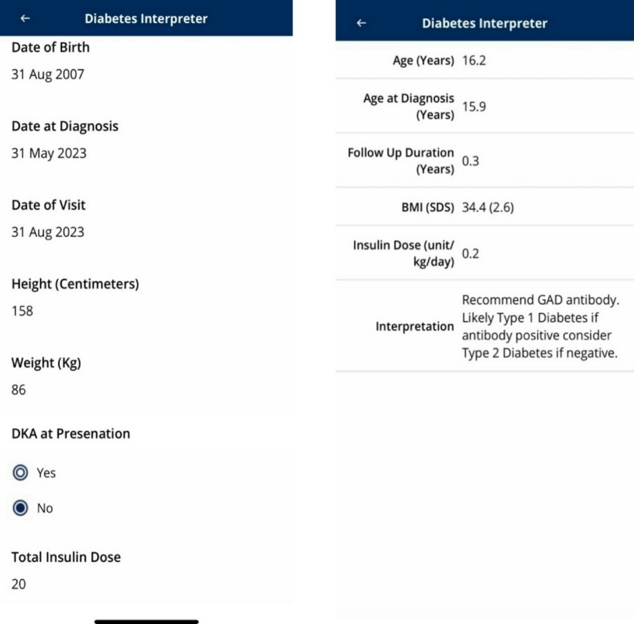 Development and Validation of Diabetes Interpreter, a Mobile Application-Based Tool for Point-of-Care Evaluation of Children with Diabetes