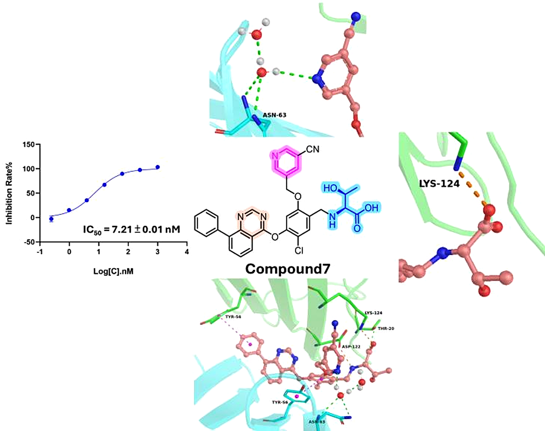 Design, synthesis, evaluation and molecular modeling of quinazoline derivatives bearing amino acids as small-molecule PD-L1 inhibitors