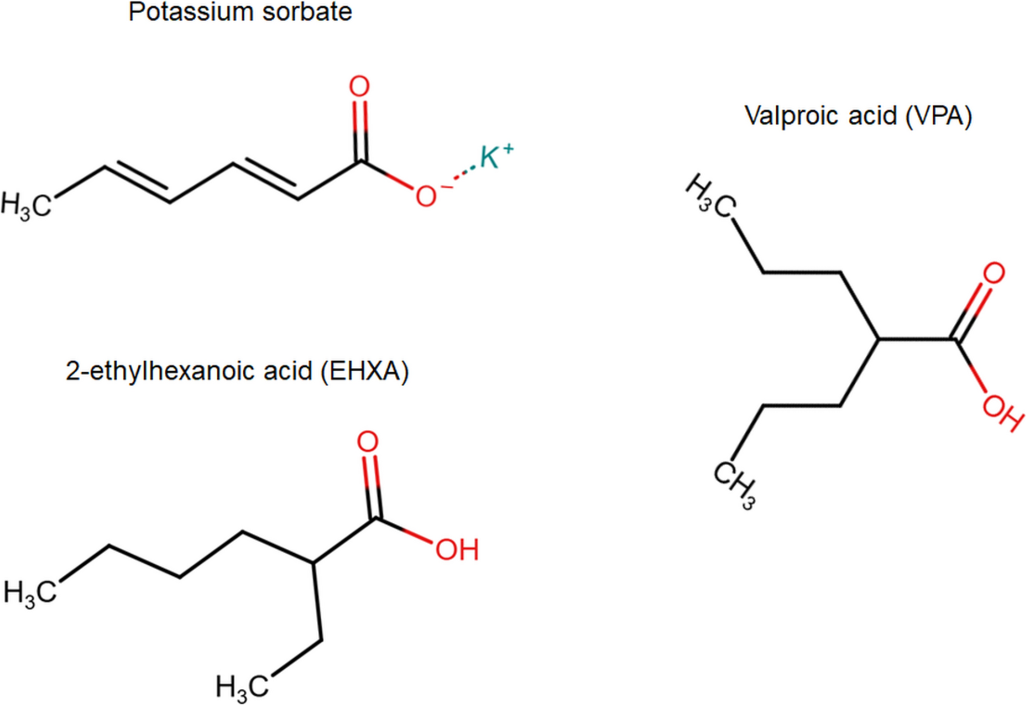 News and views: lysine sorbylation enters the expanding universe of posttranslational modifications