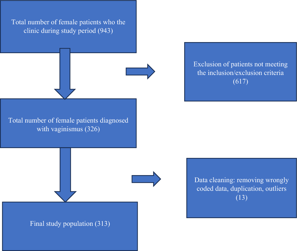 Clinical and Psychosocial Characteristics of Women with Vaginismus: A Retrospective Descriptive Study from a Sexual Health Clinic in India
