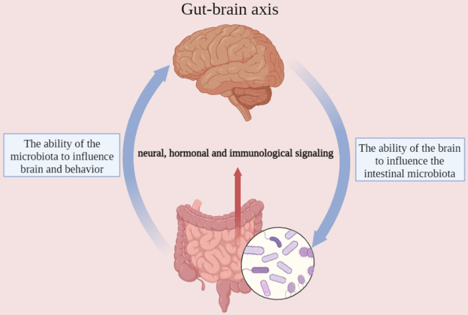 Fecal Microbiota Transplantation for Alzheimer’s Disease: a Review of Current Evidence and Future Perspectives