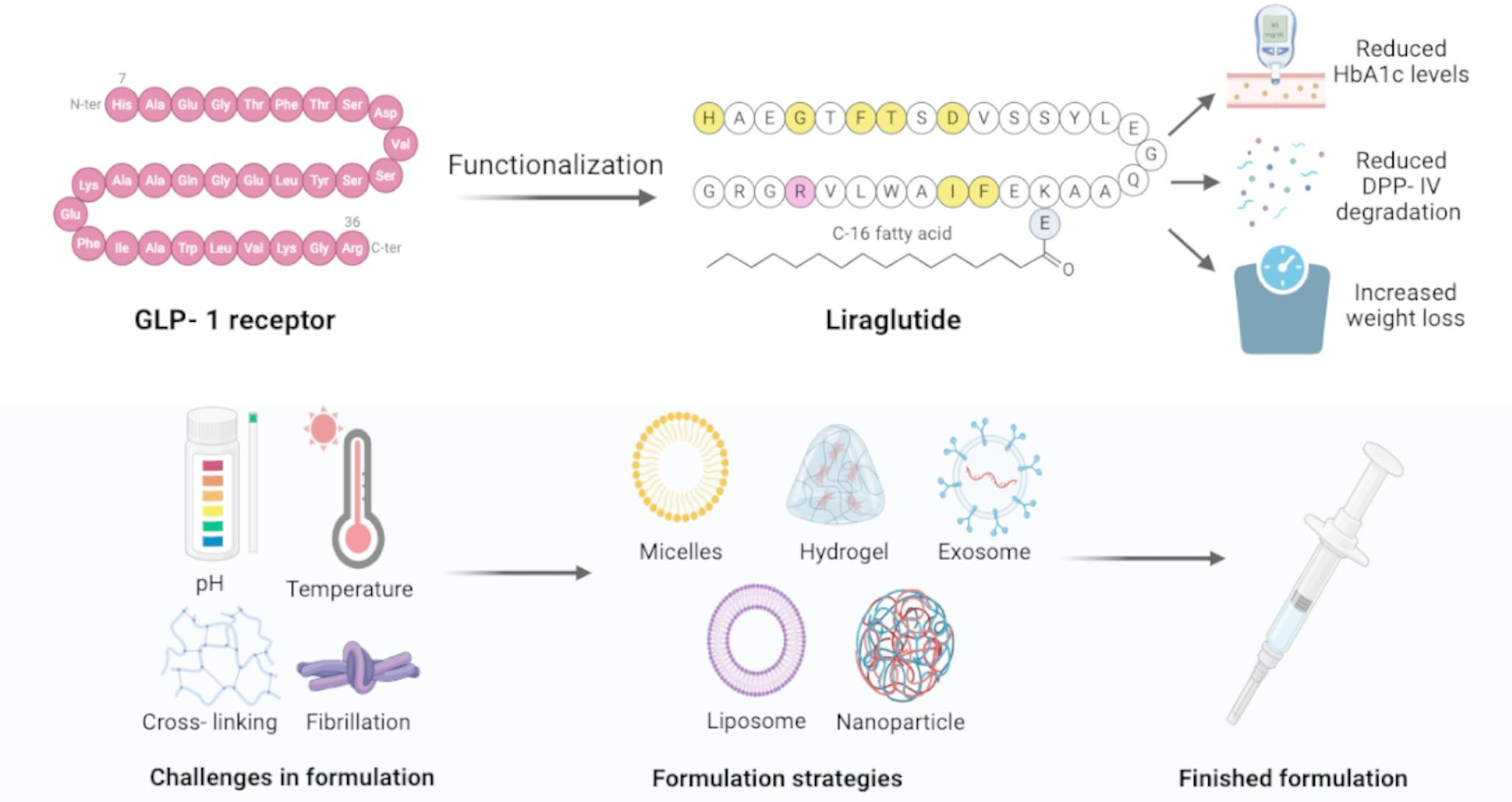 Current status of Liraglutide delivery systems for the management of type 2 diabetes mellitus