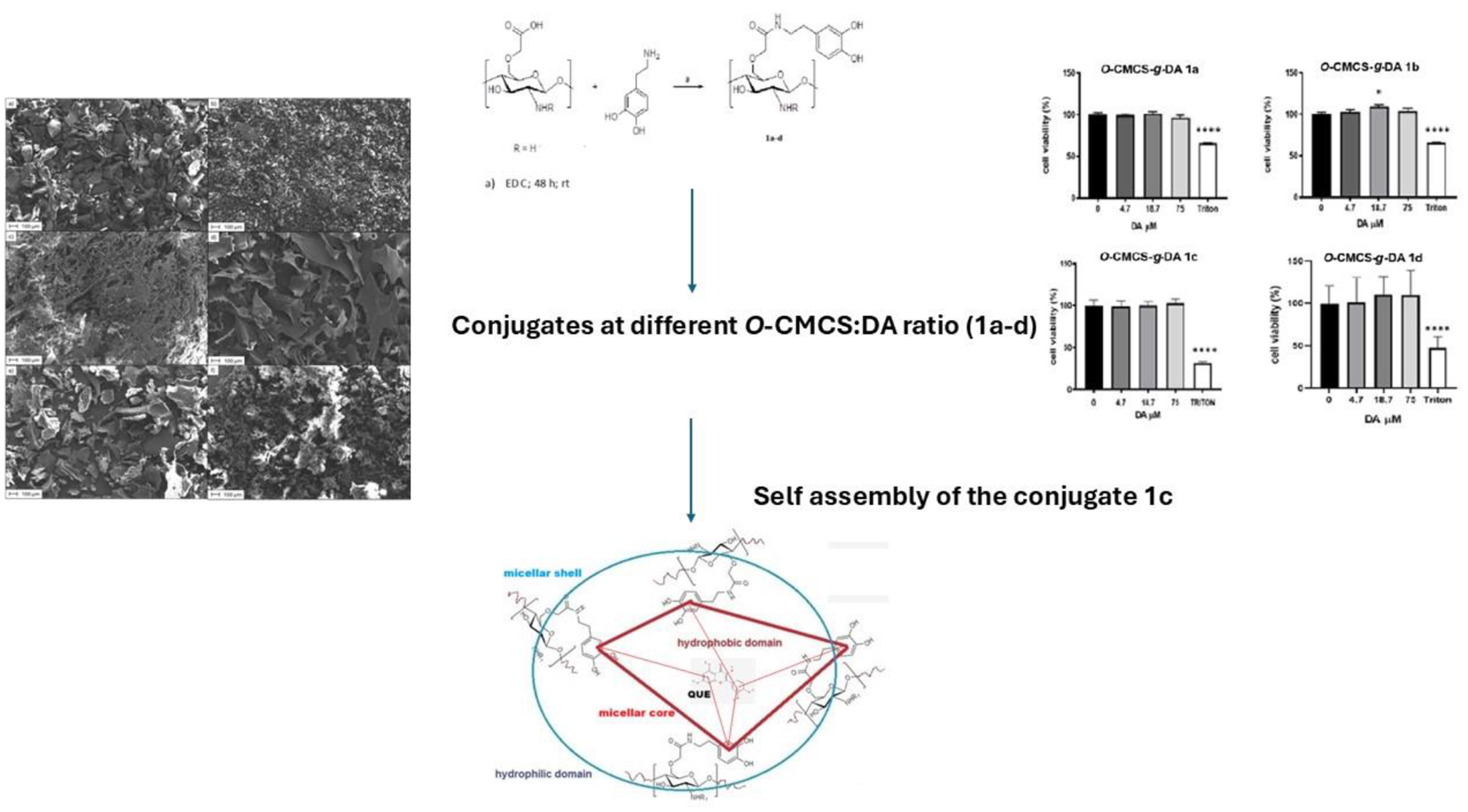 Synthesis and characterization of chitosan-grafted-dopamine based micelles as multifunctional nanomedicines for Parkinson’s disease treatment by intranasal administration