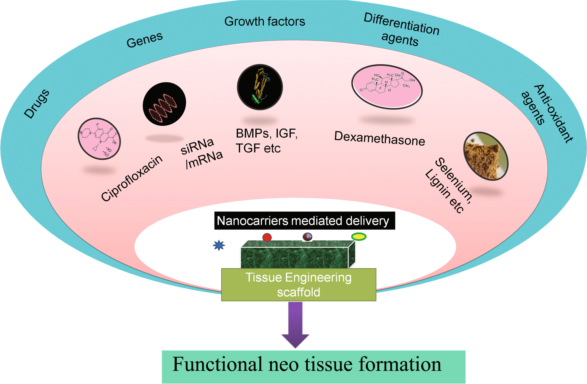 Role of Nanoscale Delivery Systems in Tissue Engineering