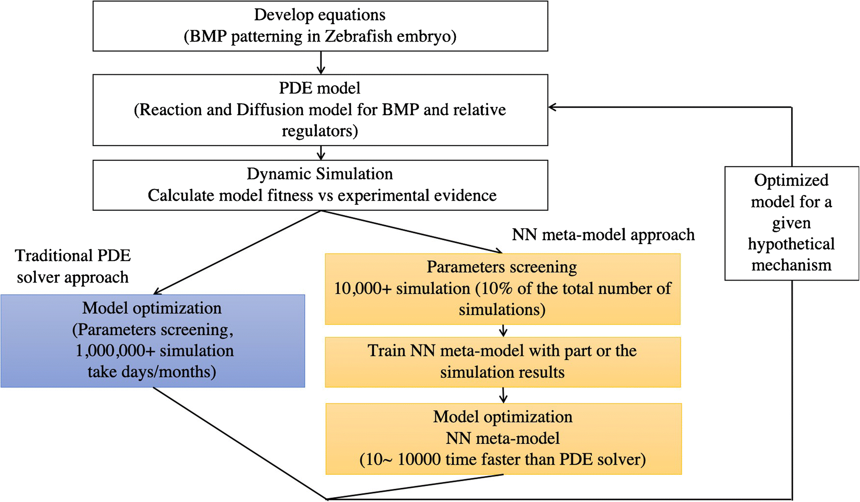 Acceleration of PDE-Based Biological Simulation Through the Development of Neural Network Metamodels