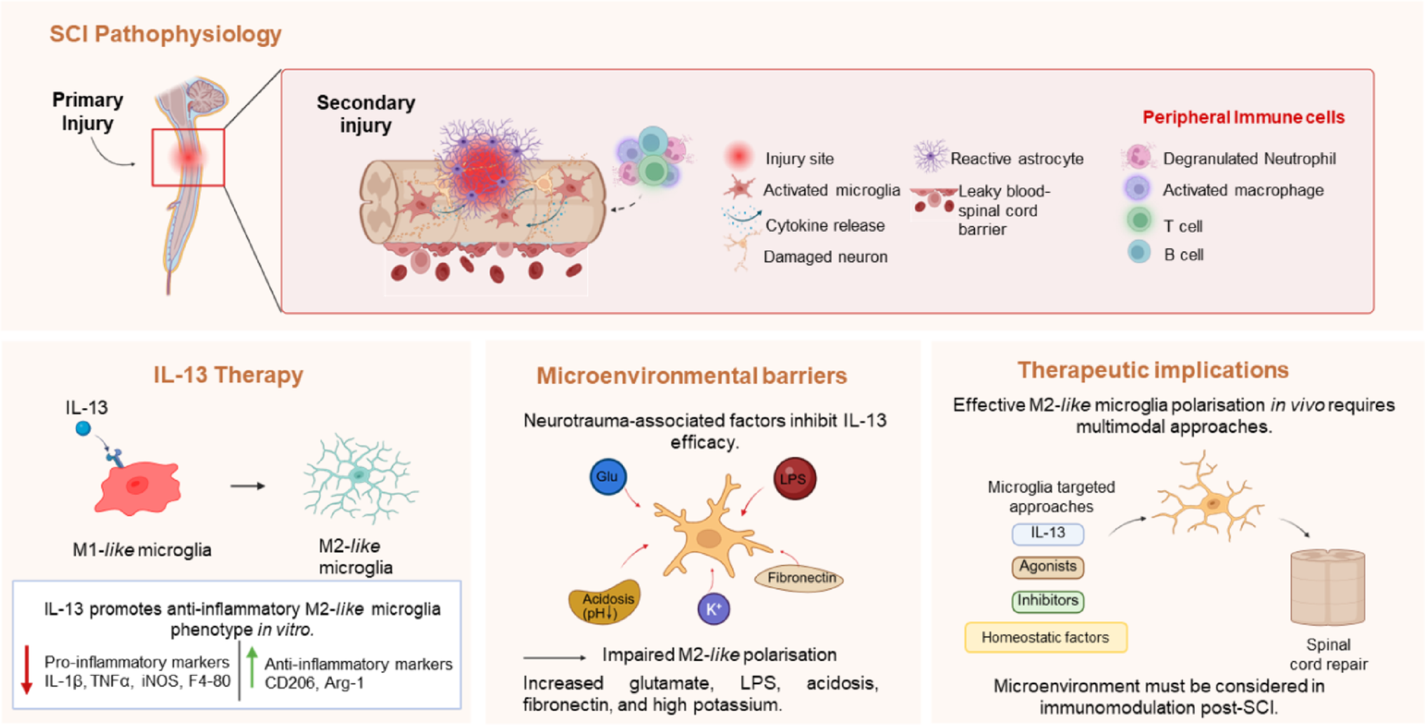 Forced polarisation of microglia by IL-13 is modified by inflammatory and microenvironmental context