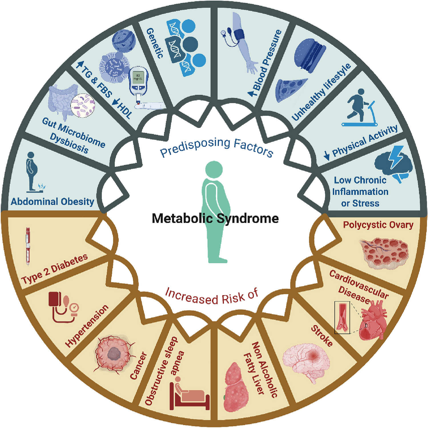 Anti-inflammatory effects of Calebin A on metabolic syndrome via NF-κB signaling pathway modulation