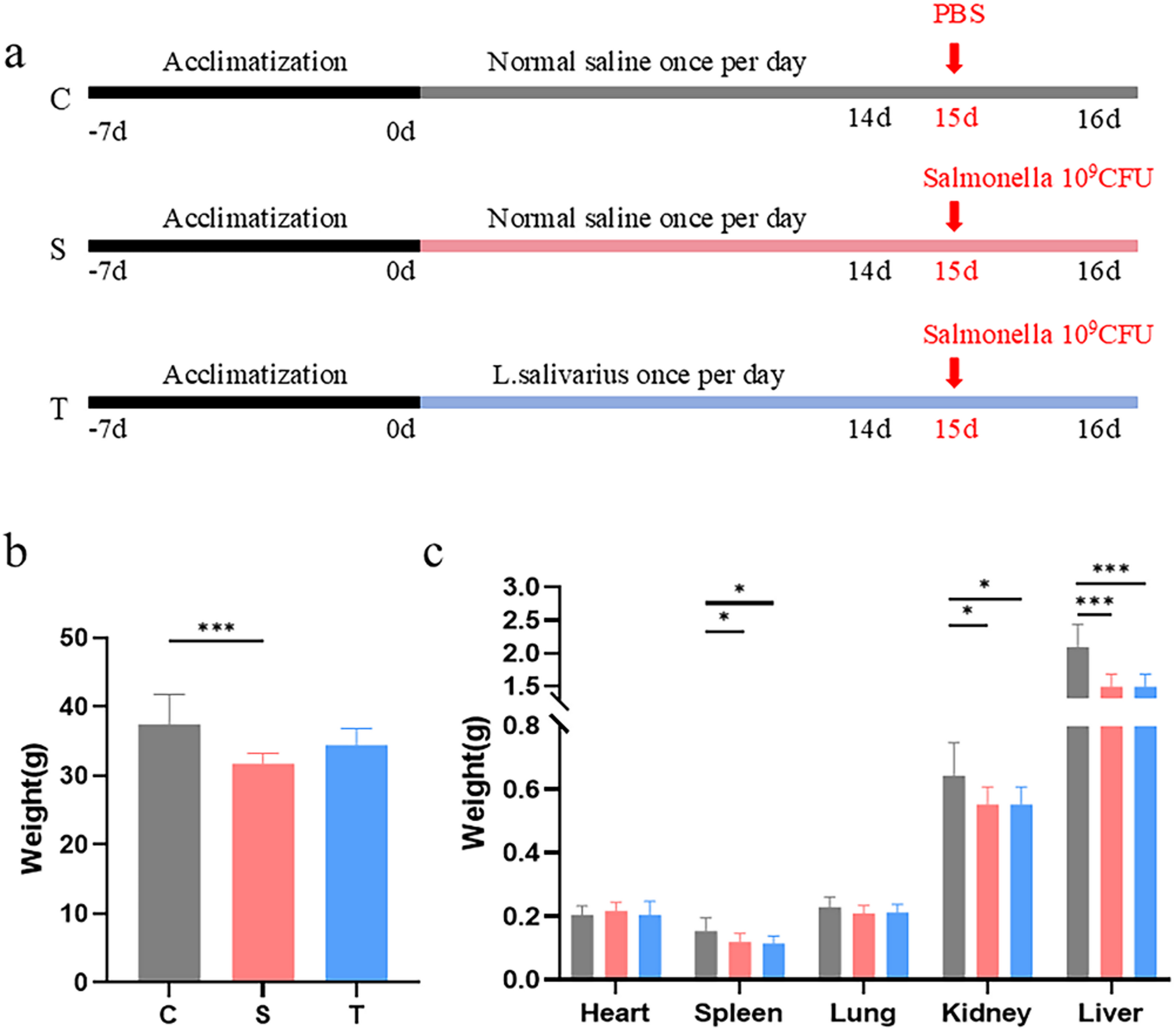 Ligilactobacillus salivarius alleviated intestinal damage induced by Salmonella in mice via regulating microbiota