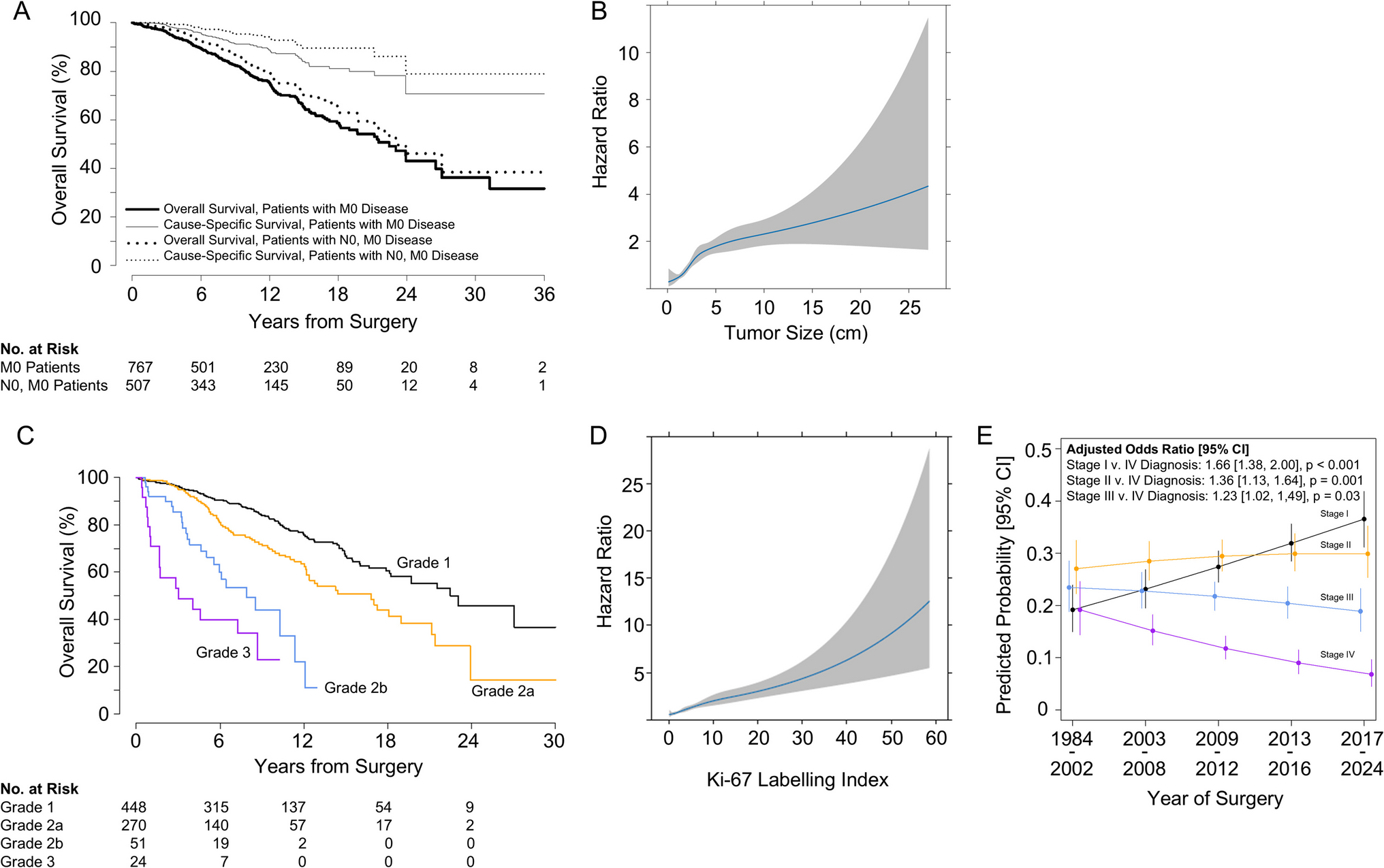 Prognostic Features in Surgically Resected Well-Differentiated Pancreatic Neuroendocrine Tumors: an Analysis of 904 Patients with 7882 Person-Years of Follow-Up