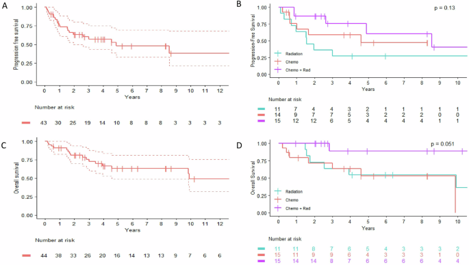 Treatment outcomes and CNS relapse risk in patients with primary cutaneous DLBCL, leg-type in the rituximab era