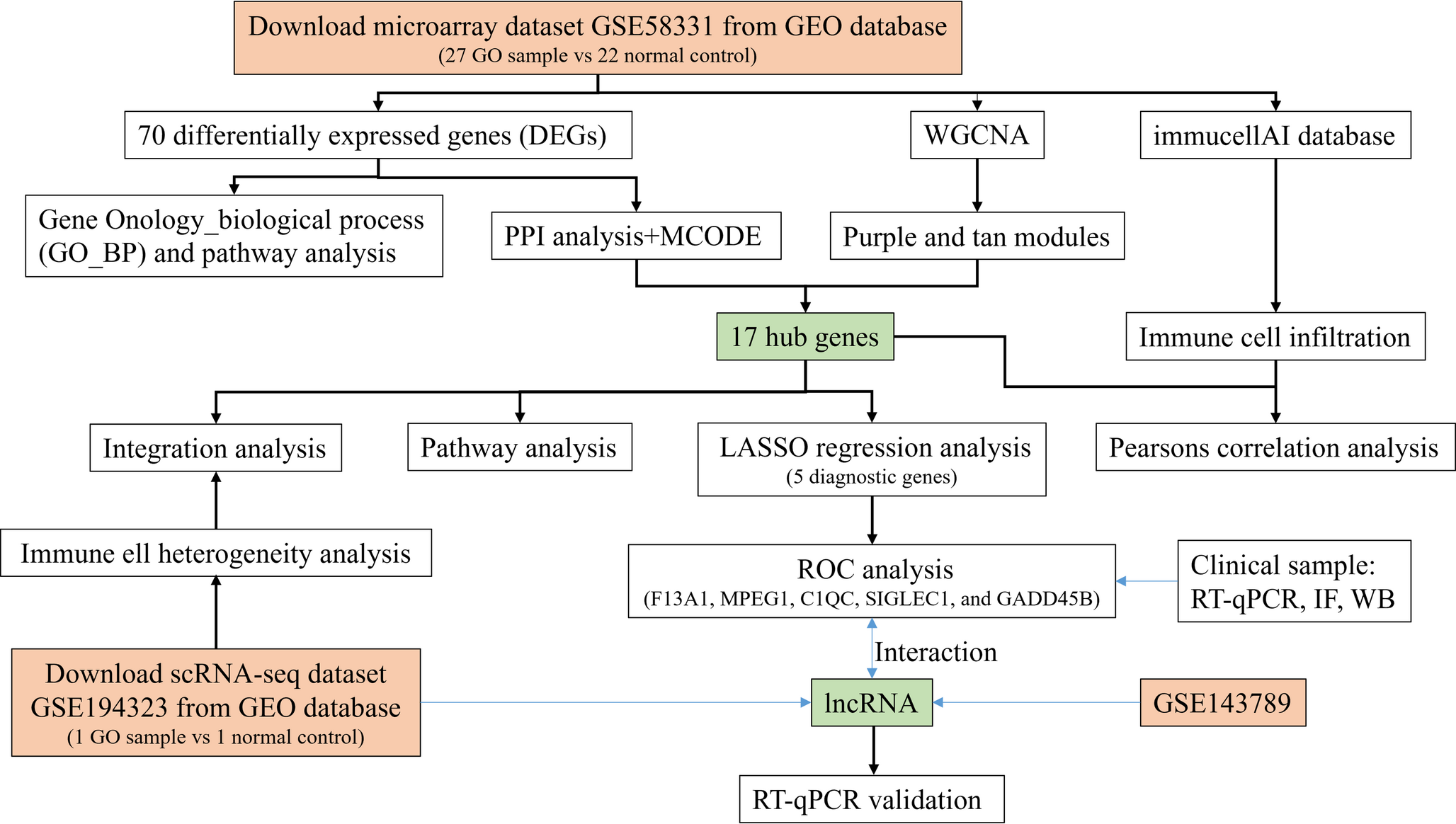 Bulk and Single-cell transcriptomic profiling identifies C1QA as an Immune-Associated hub genes in graves’ ophthalmopathy