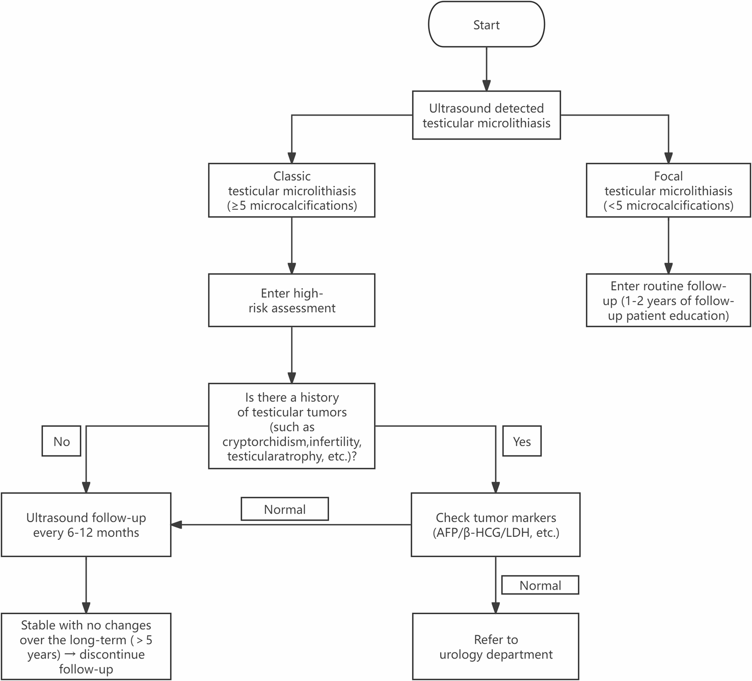 Testicular microlithiasis and male fertility: a dual perspective integrating imaging and physiological insights