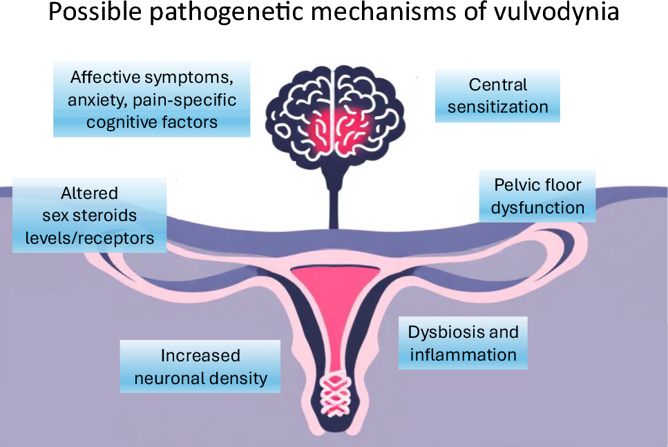 Vulvodynia: still a dramatically neglected condition. A position statement on pathogenetic mechanisms from the Italian Society of Andrology and Sexual Medicine (SIAMS)