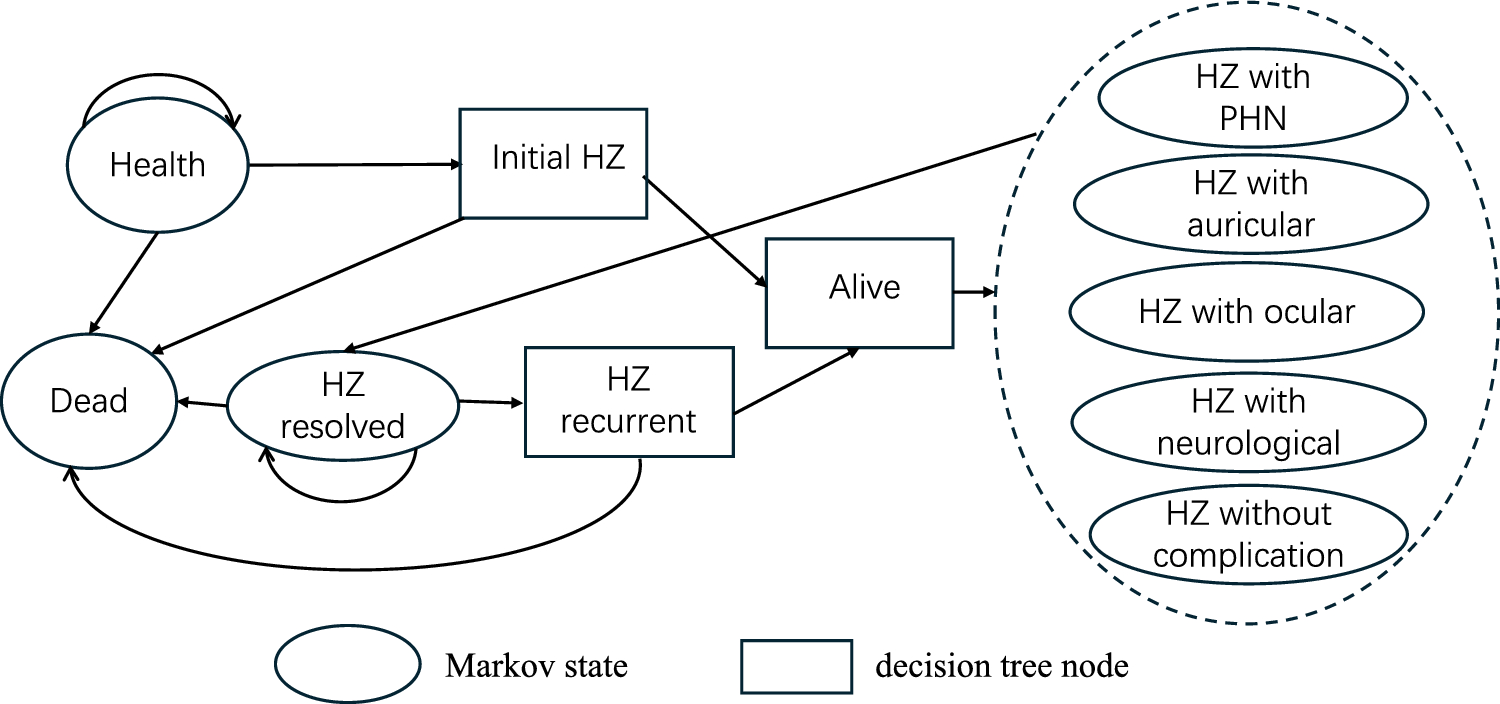 Cost Effectiveness of Recombinant Zoster Vaccine and Live-Attenuated Vaccine Against Herpes Zoster for Adults Aged 50 and Over in China